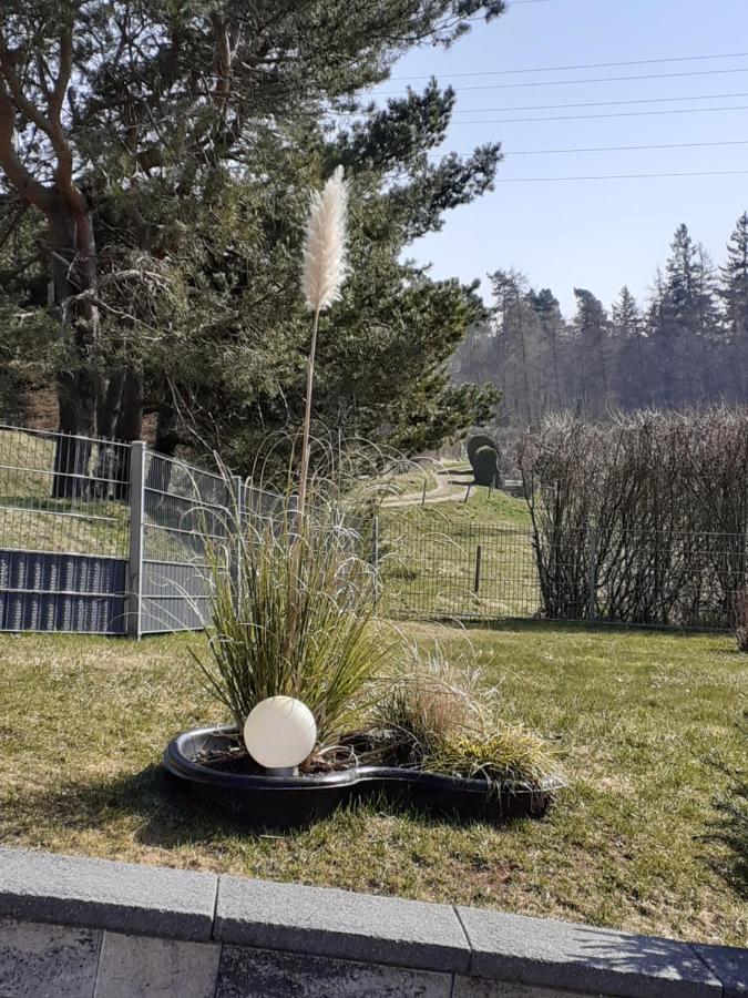 Catterfeld Ferienwohnung Am Wald מראה חיצוני תמונה